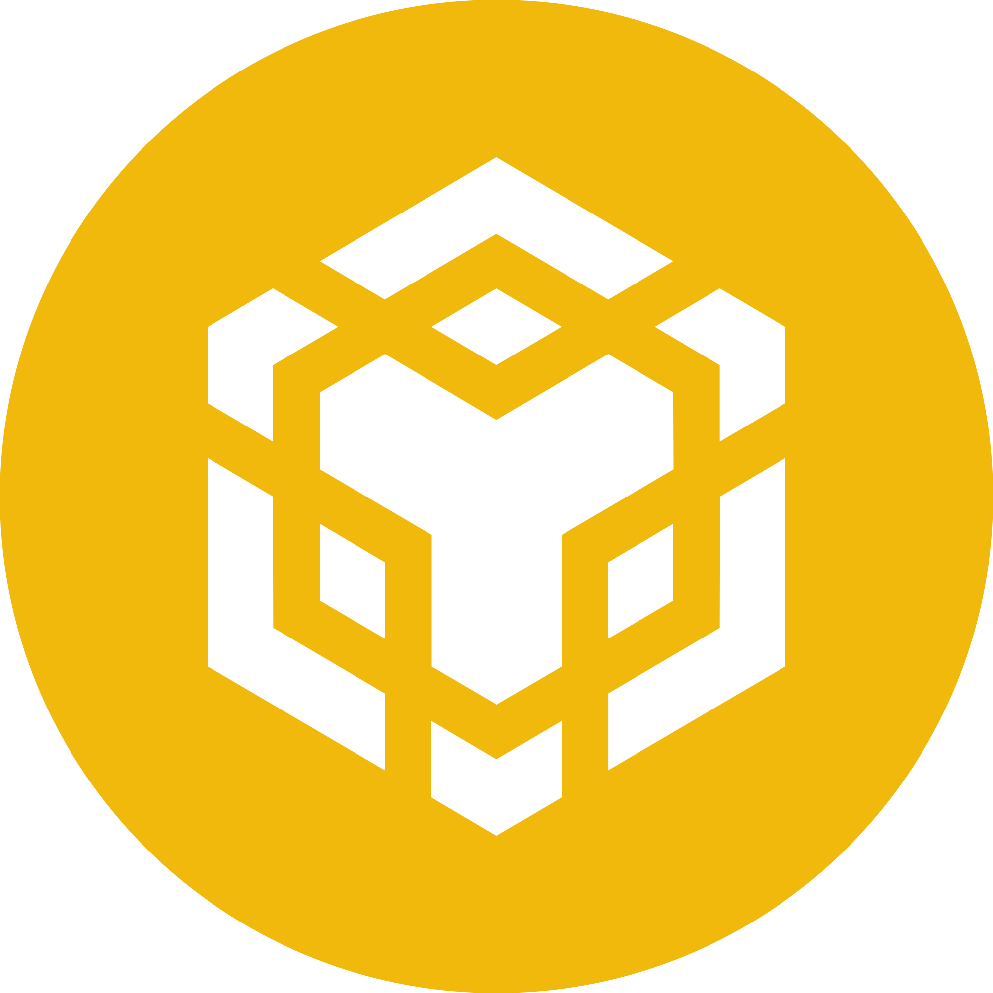 BNB20 Logo